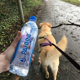 Pahhni® 6 Bottle Hydration Pack